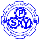PSY AUTO GROUP