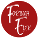 Fortuna Elektronik Online