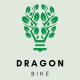 Dragon Bike