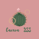 caexea233
