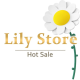 LiLy Hot Sale Store
