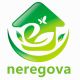 neregova