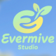 Everrise Studio