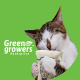 GREEN GROWERS ENT