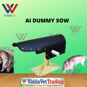 Dummy sow for pig/boar animal AI  insemination Dummy sow for pig boar dummy sow for boar rubber dummy sow dummy sow
