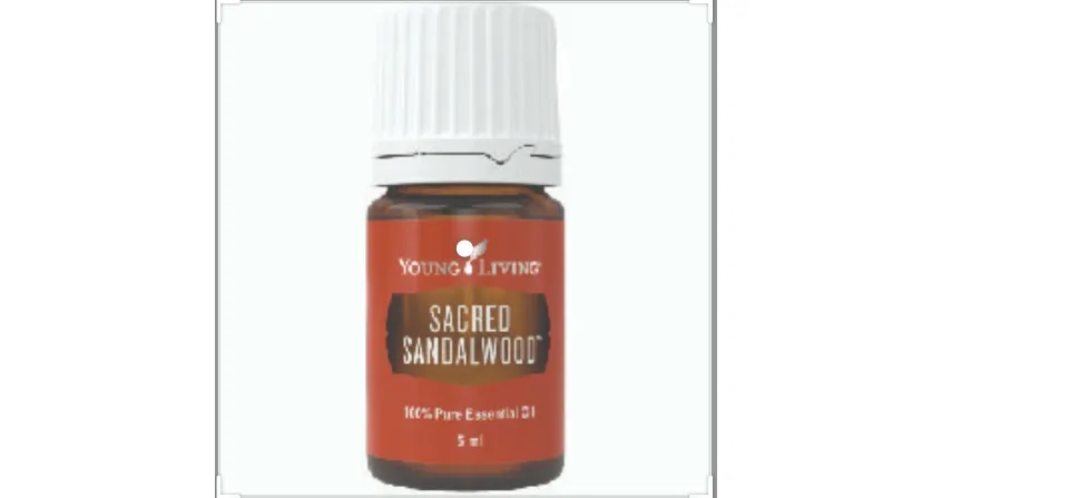 ヤングリビング Sacred Sandalwood 5ml 残9割 Young Living Essential