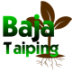 Baja Taiping
