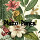Plazo Pants