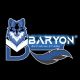 Baryon Official Store