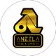 Aneela Attire