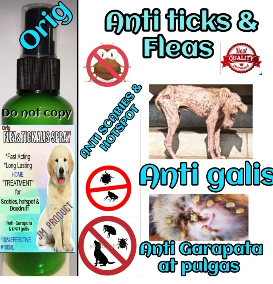 Cure for dog sales scabies