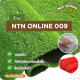 NTN_online 009