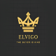 Elvigo Store