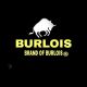 Burlois Store