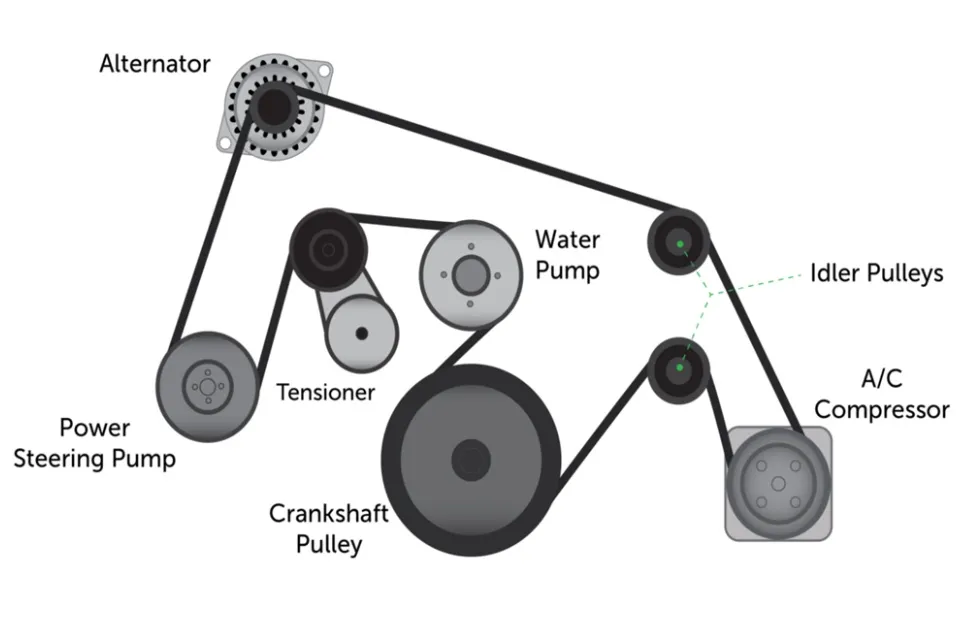 Ford ranger 2024 serpentine belt