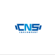 CNS COMPANY