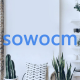 sowocm.ssg