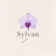 Sylvan