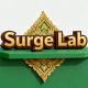 Surge Lab