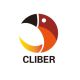 CLIBER-Fashion