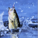 HOKKY FISHING