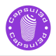 CAPSUL3D