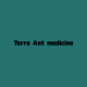 Terro Ant medicine