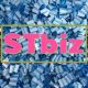 STbiz