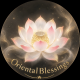 OrientalBlessingsMy东方福缘