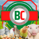 BC MULTIVET POULTRY SUPPLY