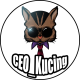 CEO Kucing