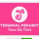 Terminal Perabot