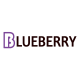 Blueberry Official store