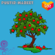 Pustir-Market