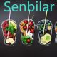 Senbilar