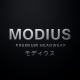 MODIUS.ID_STORE
