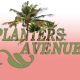 Planters Avenue