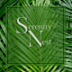 Serenity Nest