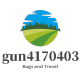 gun4170403
