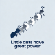 Little ants have great power