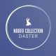 NAAFA COLLECTION DASTER