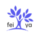 Fei ya10