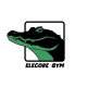 Elecore Gym STORE