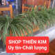 Shop Thiên Kim chuyên cây giống cây cảnh