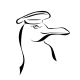 Seagull Store
