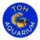 Toh Aquarium