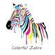 colorful zebra