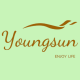 YoungSun Company Online Store