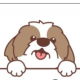 charliepetshop