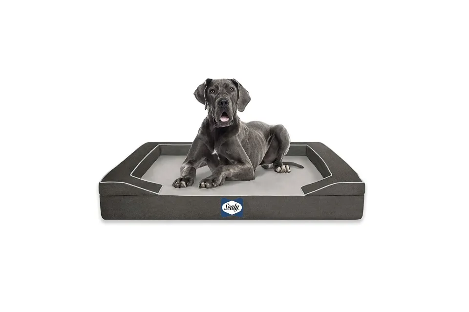 Sealy Lux Hundebett Groß – Mit Memory-Schaum & Kühlendem Gel, Orthopädisch, Waschbarer Bezug